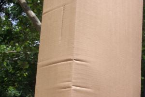 Thumbnail of box07.jpg